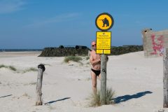 IMG_2567-scaled