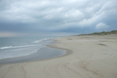 DSCF0724