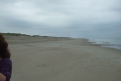 DSCF0725
