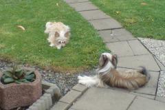 10258460_630063853749226_5497573340781152066_o_1200x900