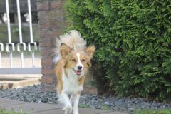 10264173_633904510017226_4535972525597659383_o_1200x799