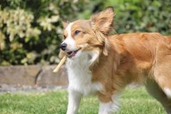 10269037_633902110017466_3409863150549407903_o_1200x799