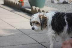 10271404_633905483350462_2907285007675551616_o_1200x799