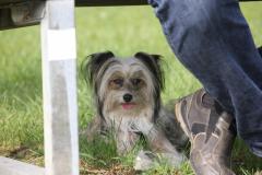 10272471_633904140017263_8864133600213356991_o_1200x799