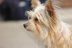 10272659_633903750017302_5137605087504009841_o_1200x799