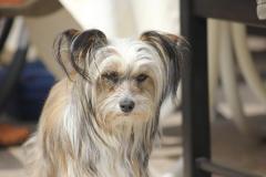 10273397_633903793350631_1562892232123917675_o_1200x799