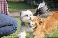 10286812_633905773350433_7608419541759932188_o_1200x799