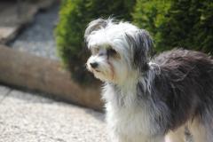 10293551_633904713350539_4926194516258117338_o_1200x799