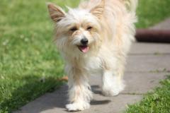 10293603_633903430017334_6282239411972678343_o_1200x799