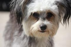 10293624_633902180017459_3569022345332692387_o_1200x799