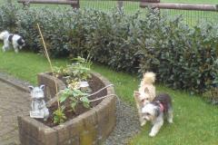 10295174_630063937082551_8308763273331707566_o_1200x900