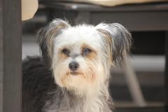 10295241_633904876683856_3283675404276002507_o_1200x799