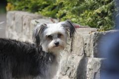 10296323_633903523350658_317065955381341015_o_1200x799