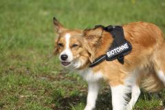 1244434_633905383350472_1084884748250616417_o_1200x799