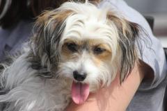 1277169_633903650017312_3026488971240801395_o_1200x799