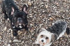 1a143807_67ff_40b5_92b6_53c5e9eb45e8