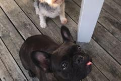 2017_09_03_18_23_27_1089x1200