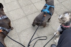 28293098_e0fb_4dad_890a_778802991e6c