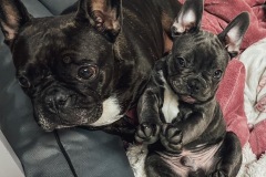 2bf51b35_2e5b_42af_acb5_e7053fd58e5b