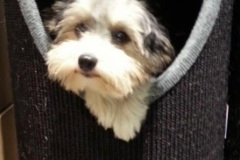 4b9318ae_b034_4feb_a20d_7c54b6559b87