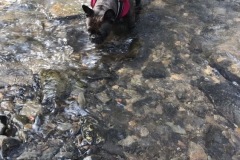 7d87089b_b98b_4b87_8e65_39e1b39b30aa