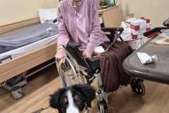 a21df86f-b406-4660-b6bf-899e52202656